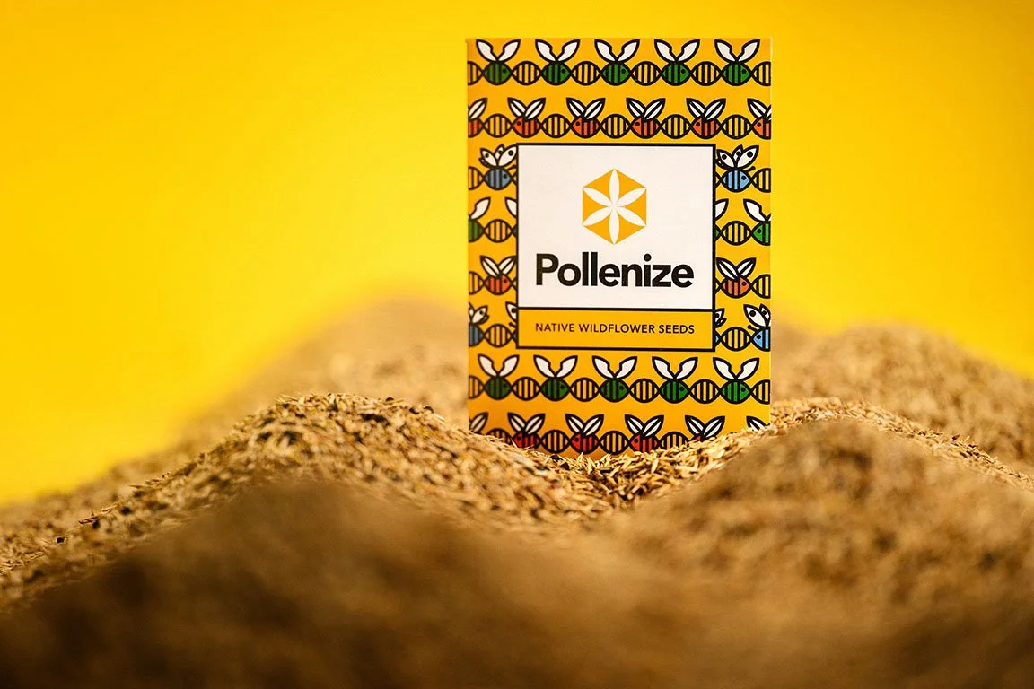 Pollenize Wildflower Seed Packet-2657.jpg