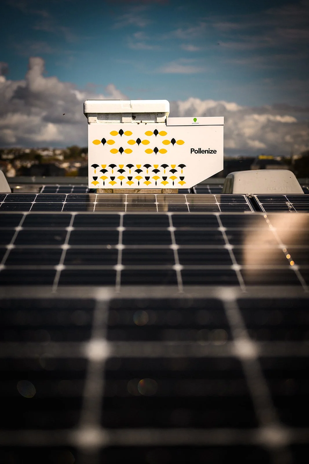 Genesis Apiary • AI Beehive-1457_websize.jpg