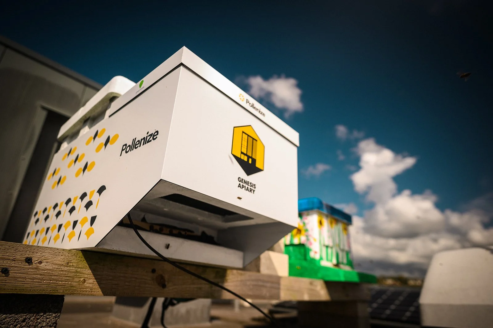 Genesis Apiary • AI Beehive-1522_websize.jpg