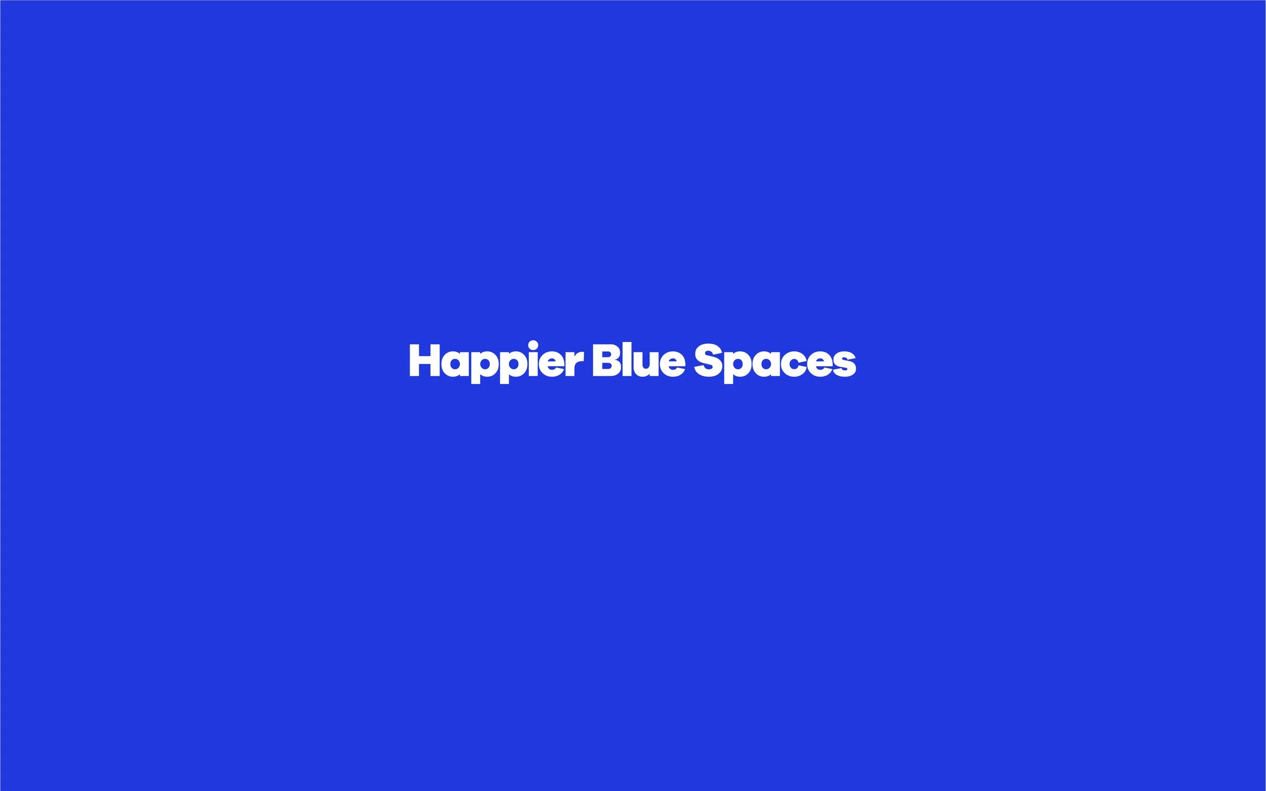 Happier Blue Spaces – Brand Guide-13.jpg