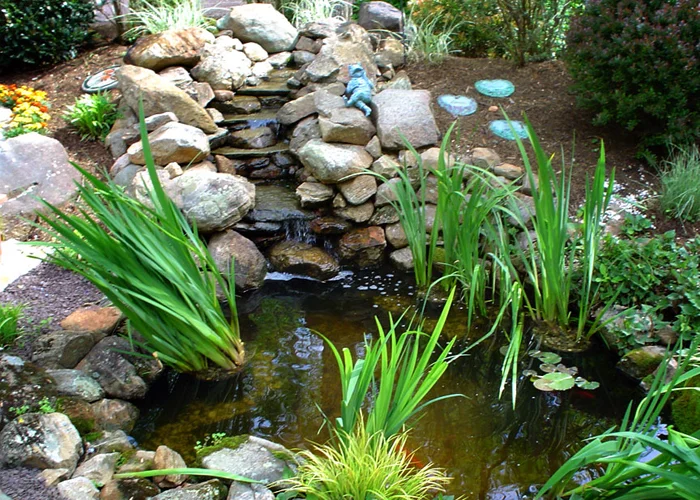 Tharpe Watergardens001.JPG