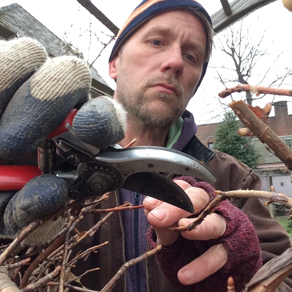 Good-bye WINTER : ( Hello SPRING! ) :