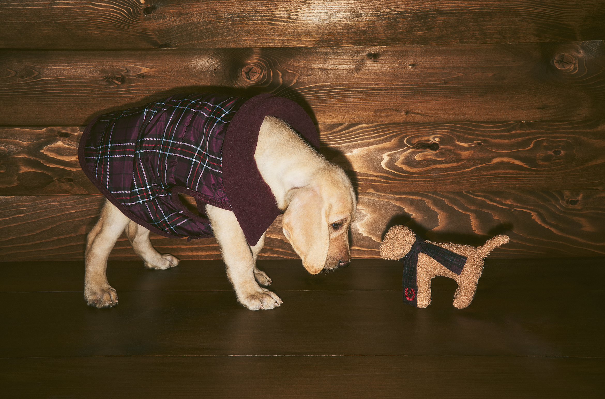 Screen Shot 2024-12-10 at 3.39.30 PM.png