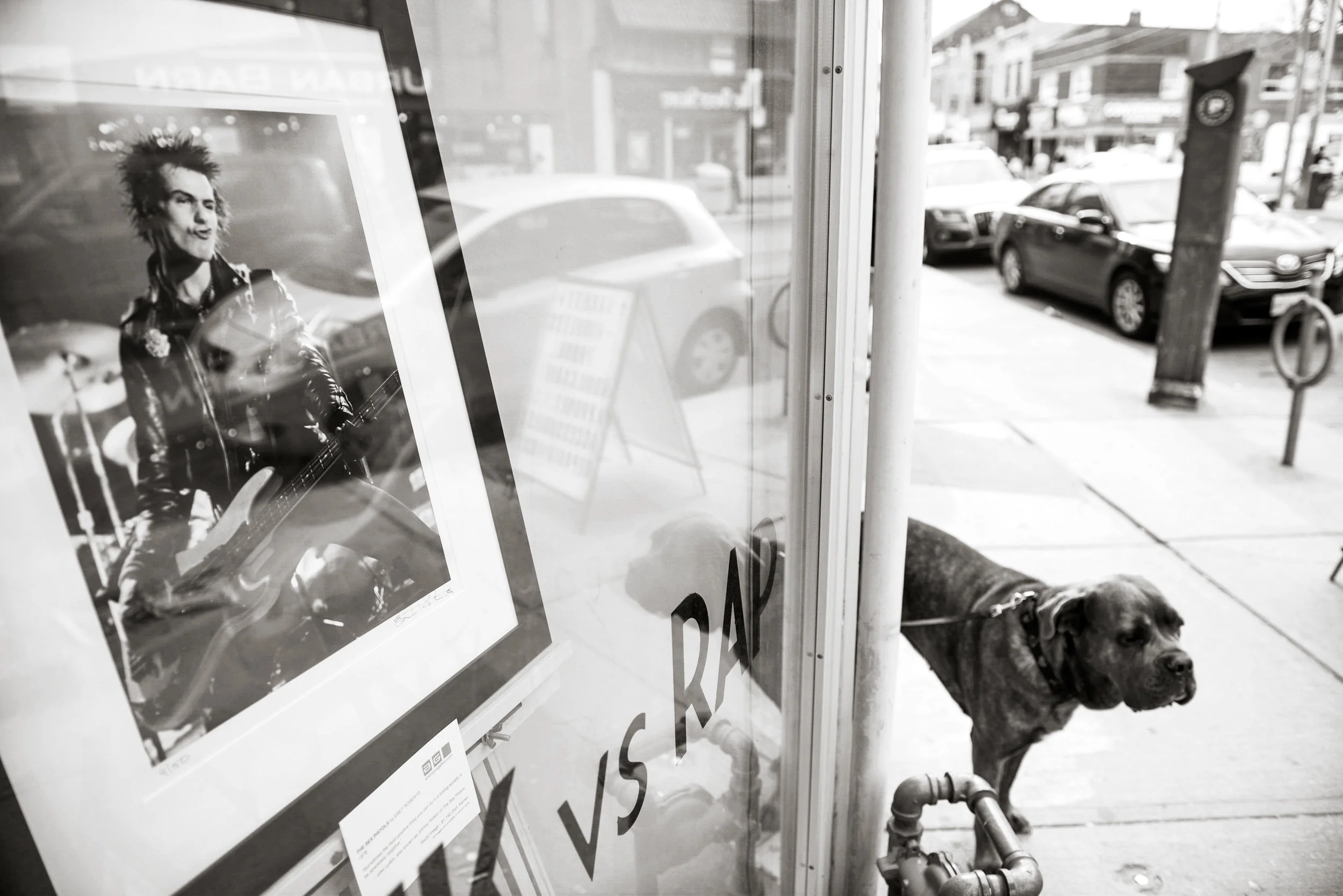 May 2014 in Toronto -- great city, amazing people, and quite obviously, awesome dogs,