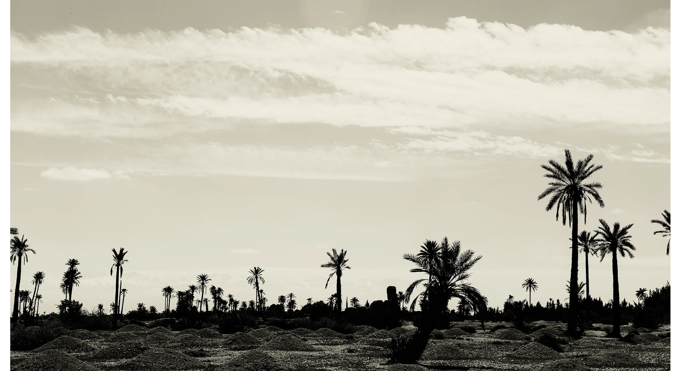 1703_Morocco_0002.jpg