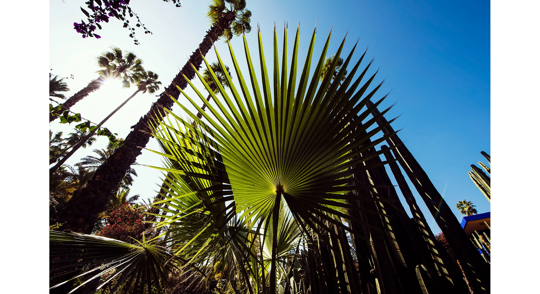 1703_Morocco_0007.jpg