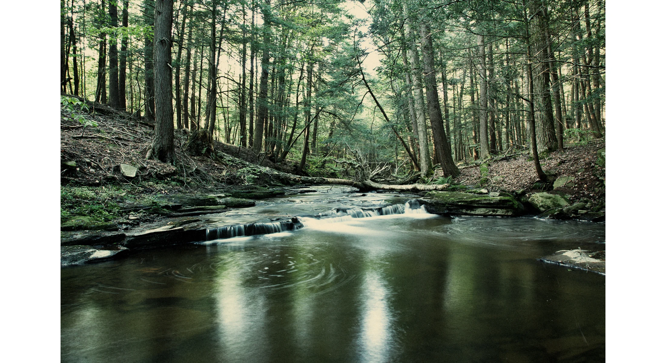 1005_asc_MG_2209_Stream copy.jpg