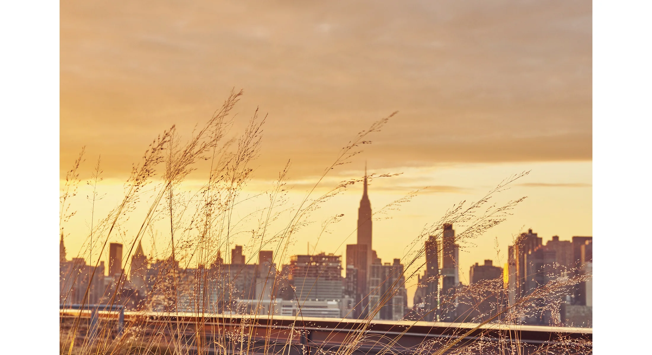 FGS-1133Manhattan_337_Wheat_Skyline_v03 copy.jpg