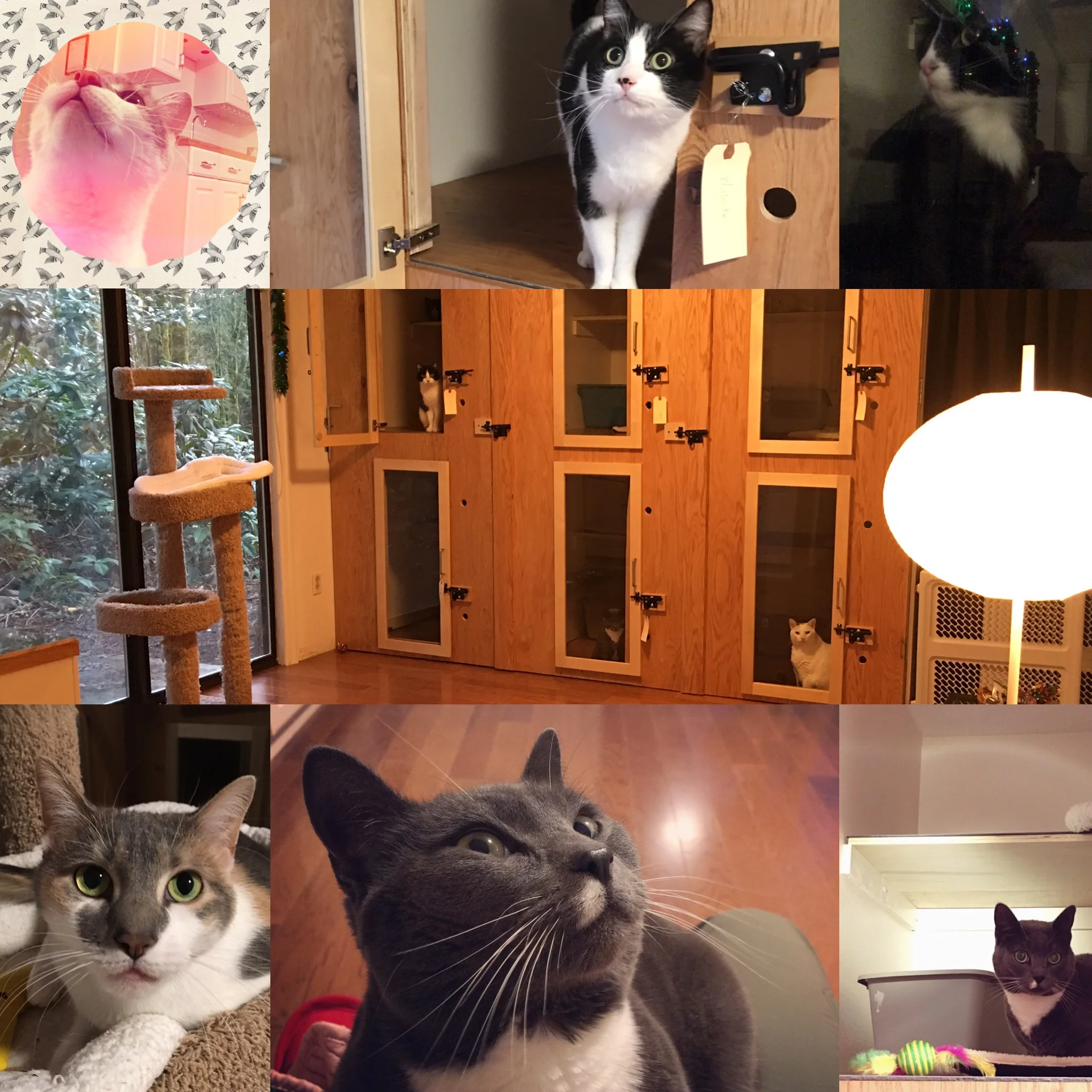 Holiday Guests December 2016