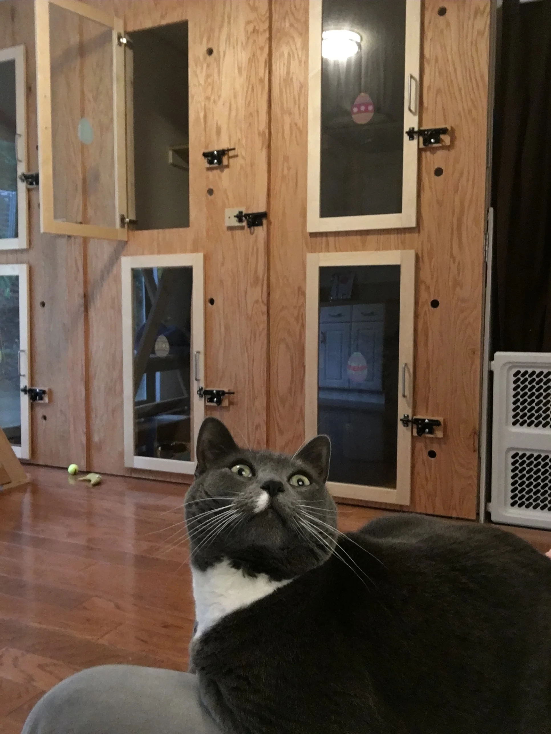 Play time in the playroom