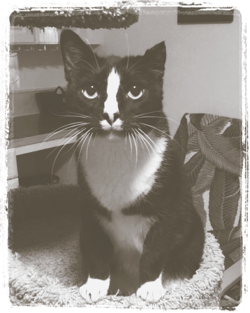 Mickeys October 2017 Vacation