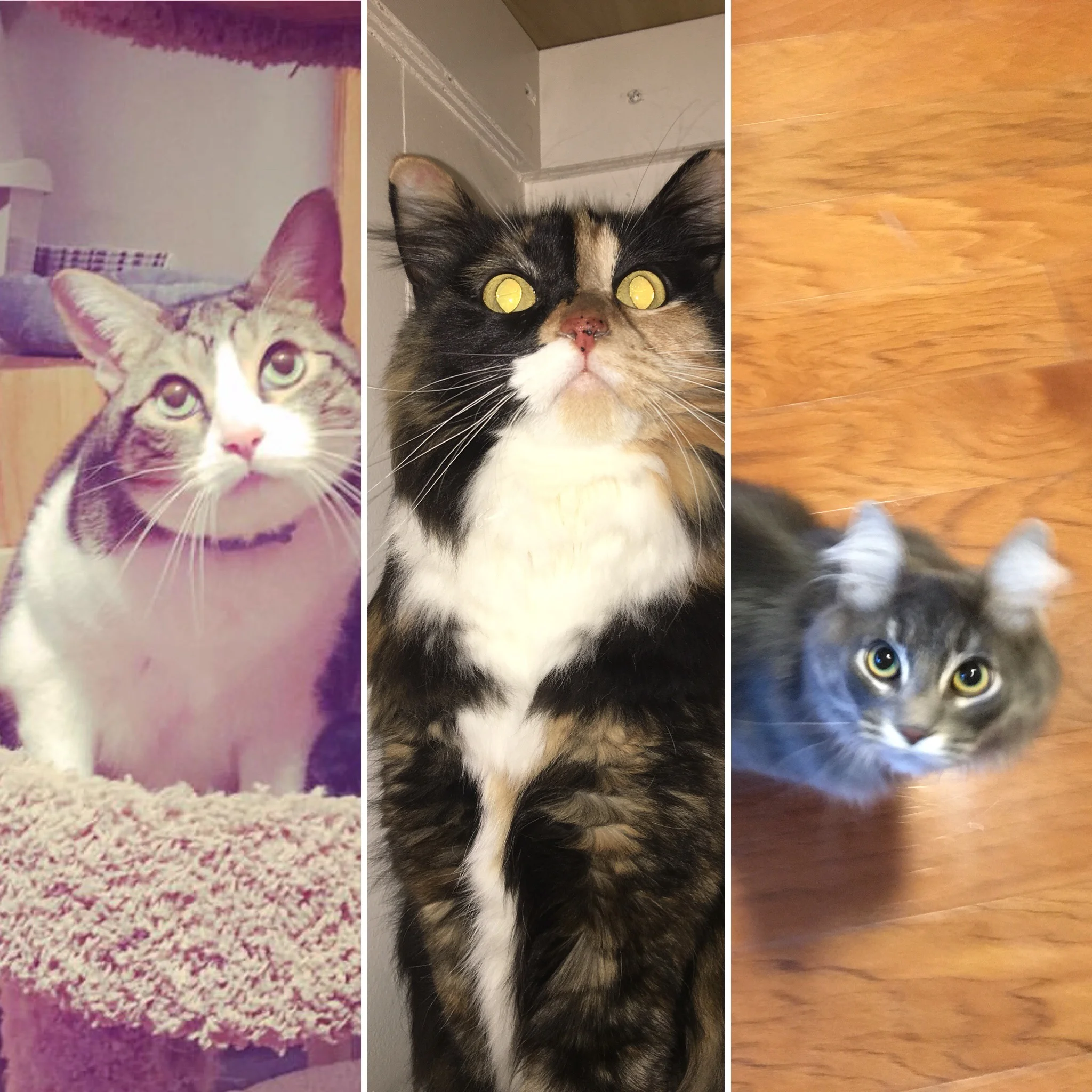 December Guests Pt 2