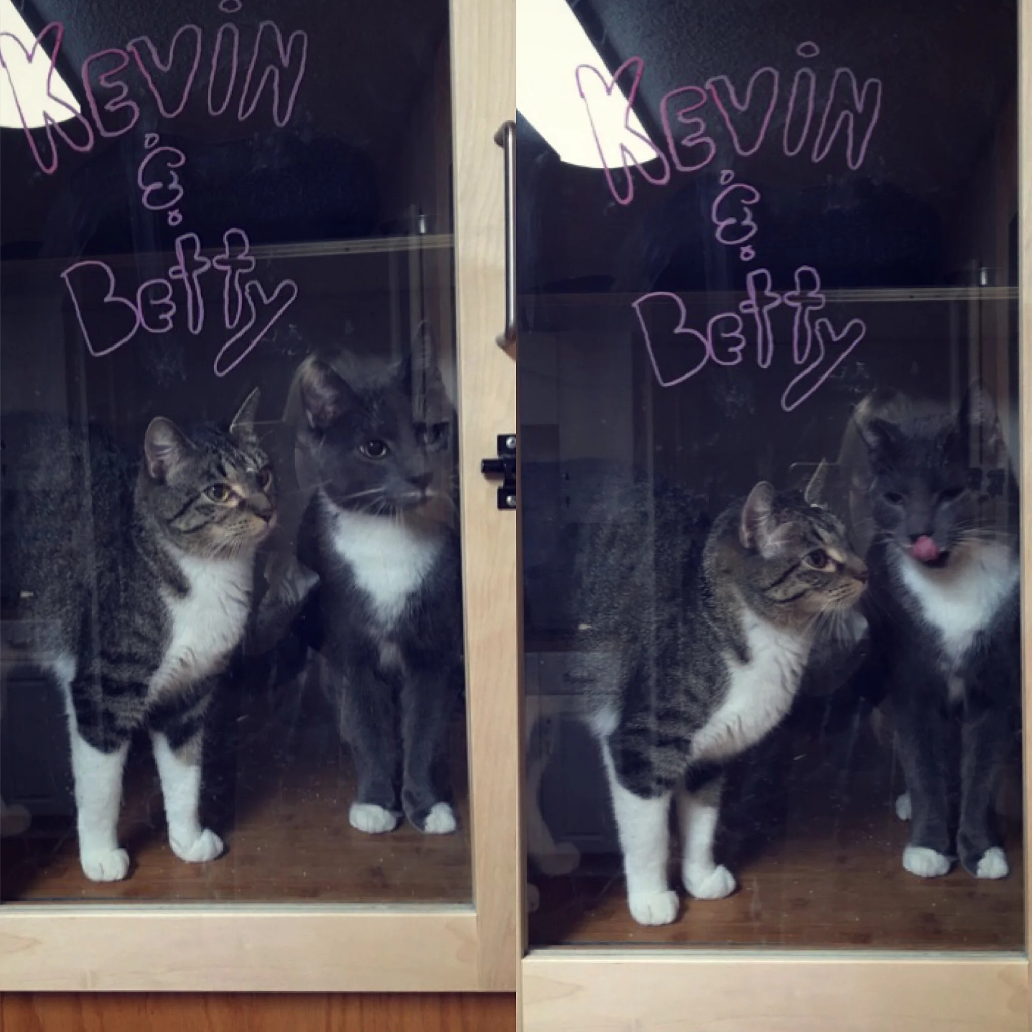 Kevin and Betty