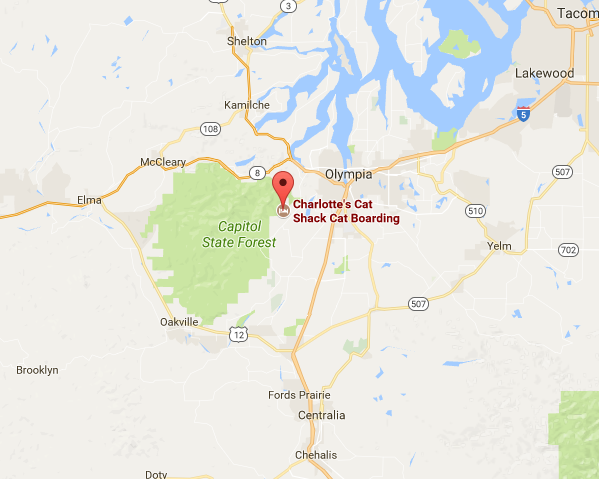 Cat shack map.png