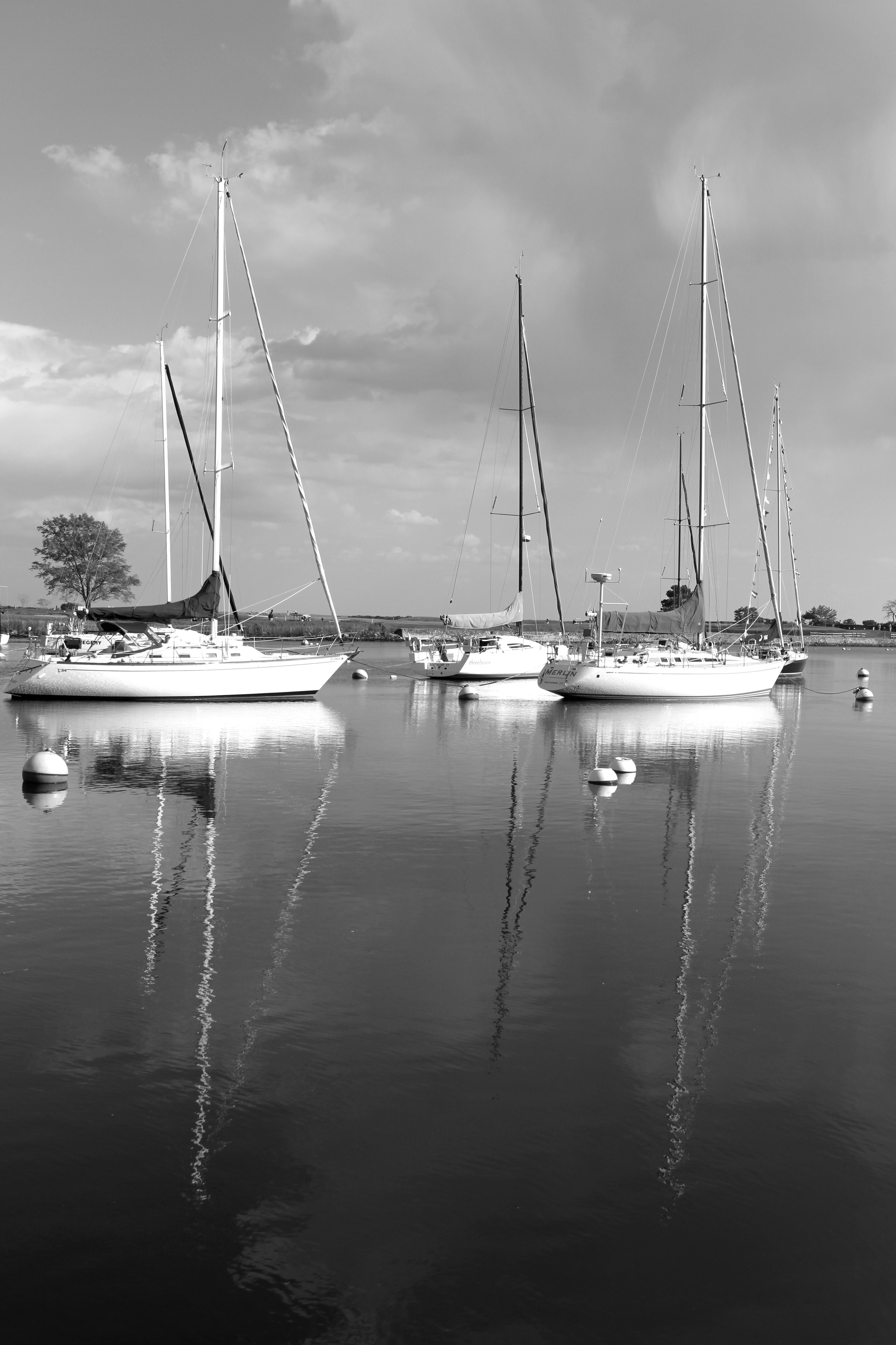 IMG_4835.jpg