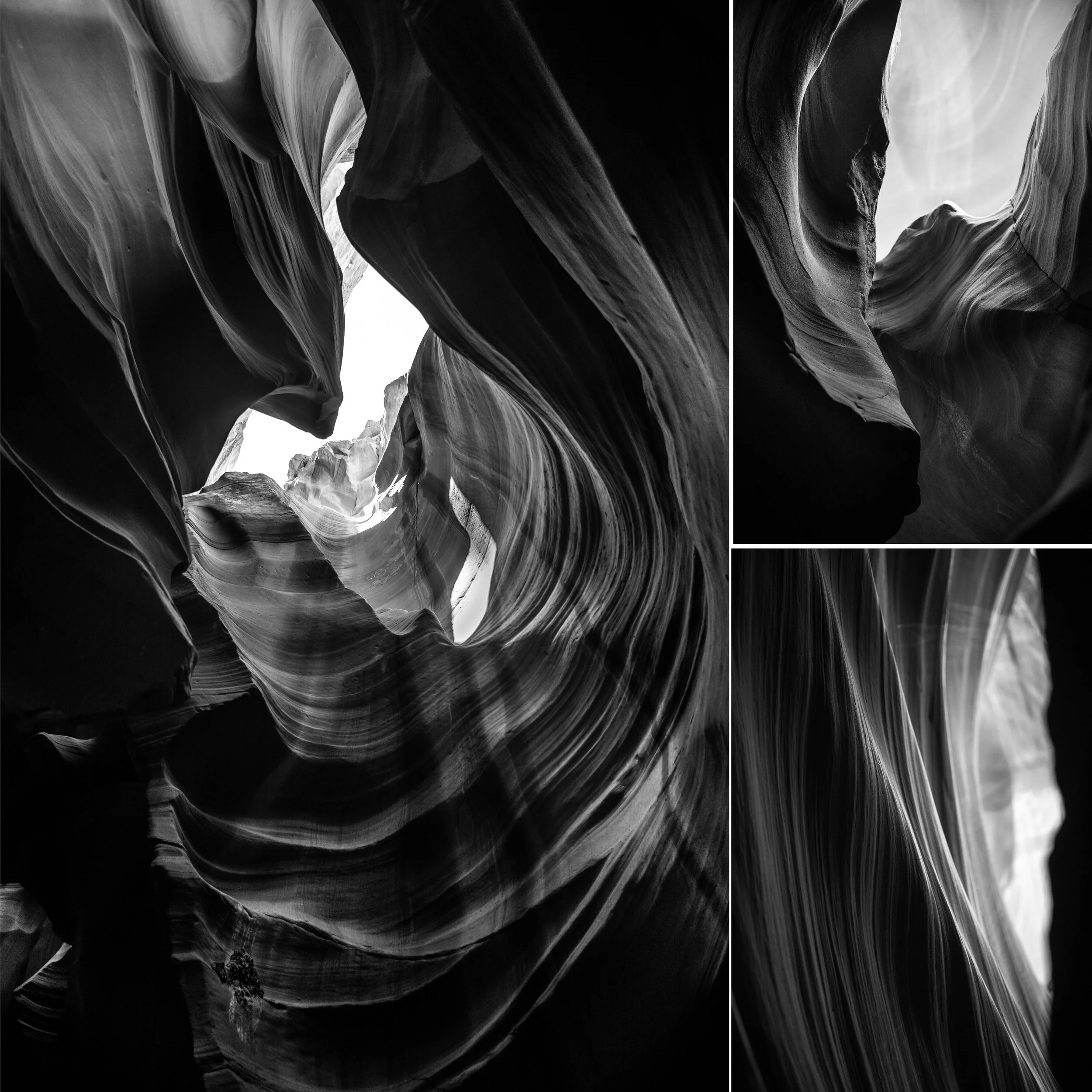 Antelope Triptych in BW.jpg