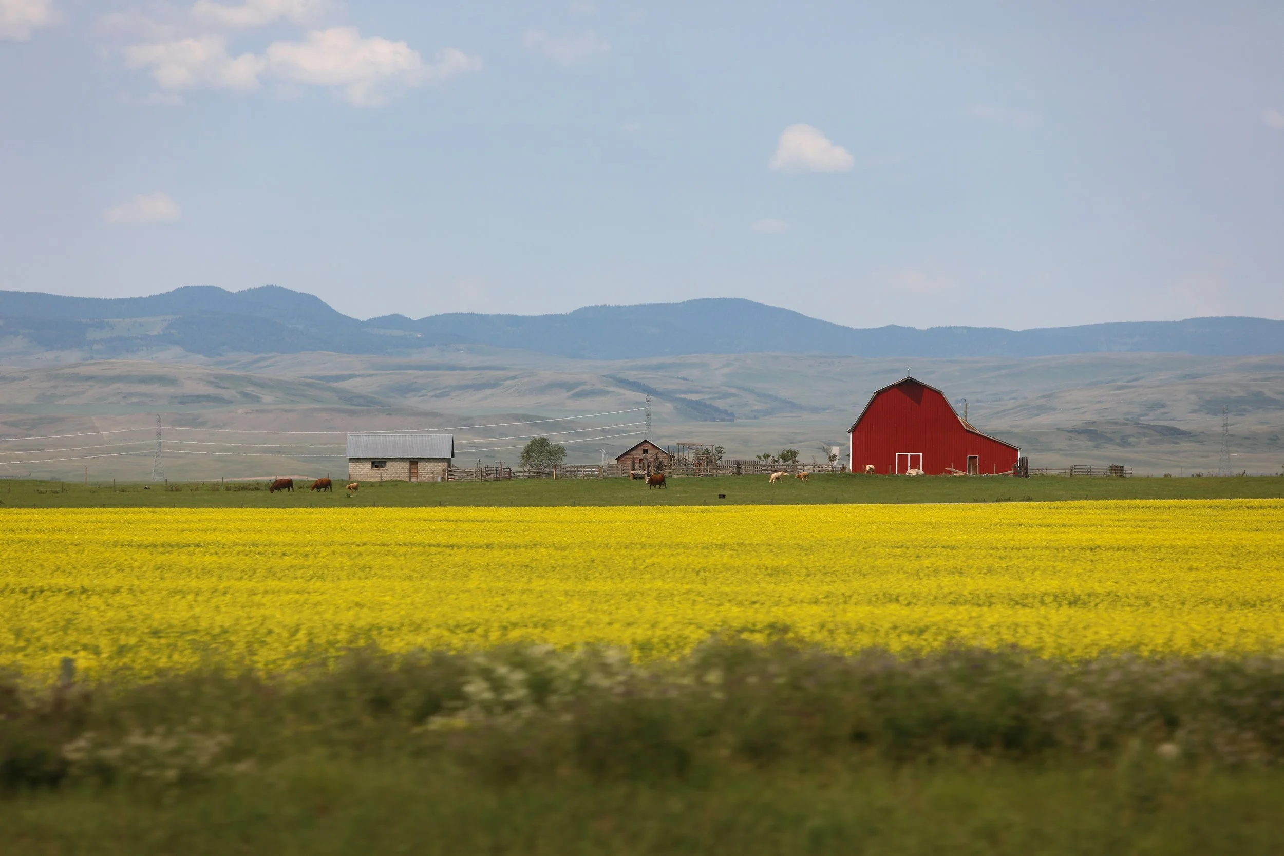 Glacier to Calgary.jpg