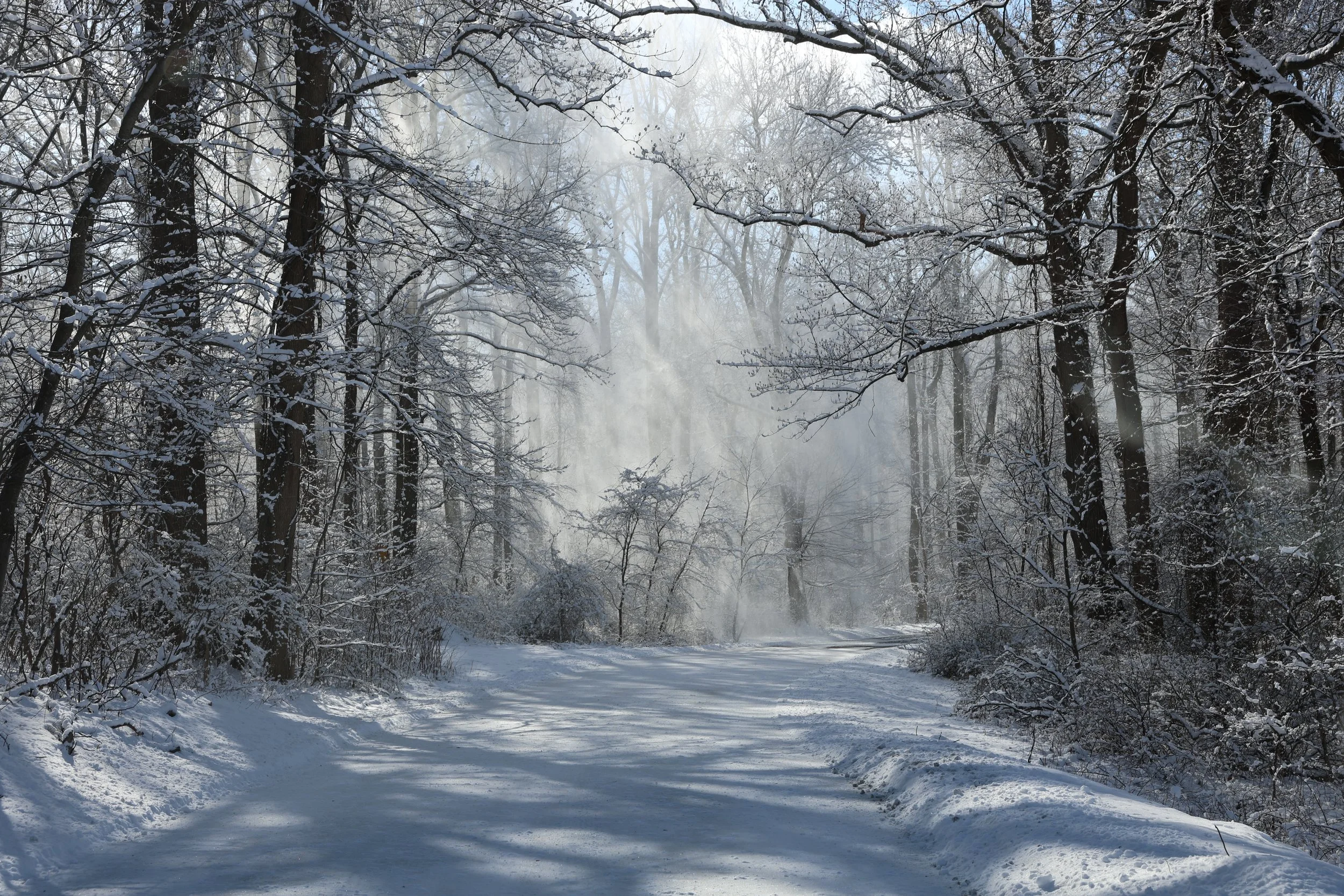 6_Winter Soul-stice_13 x 19._Photography_HermsenJPG.JPG