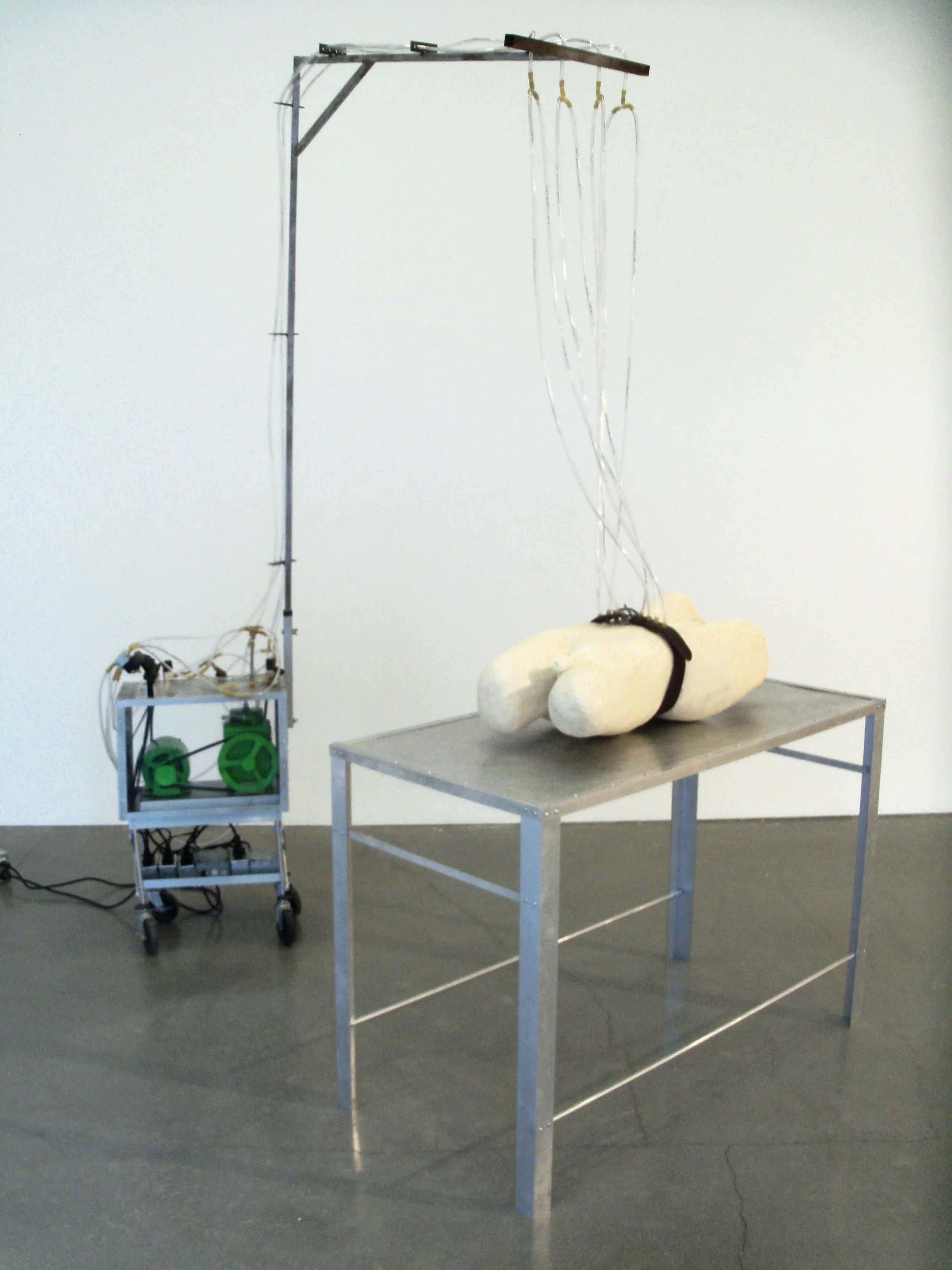 hermaphrodite's lab