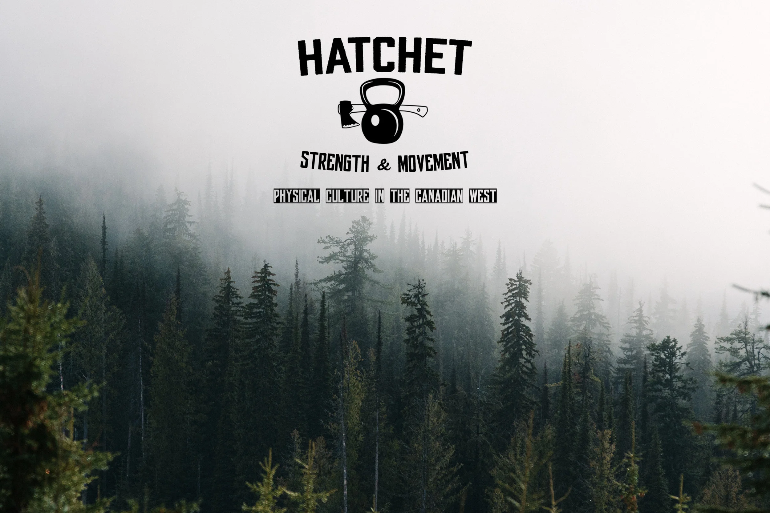 hatchetsandmpccoverimage.jpg
