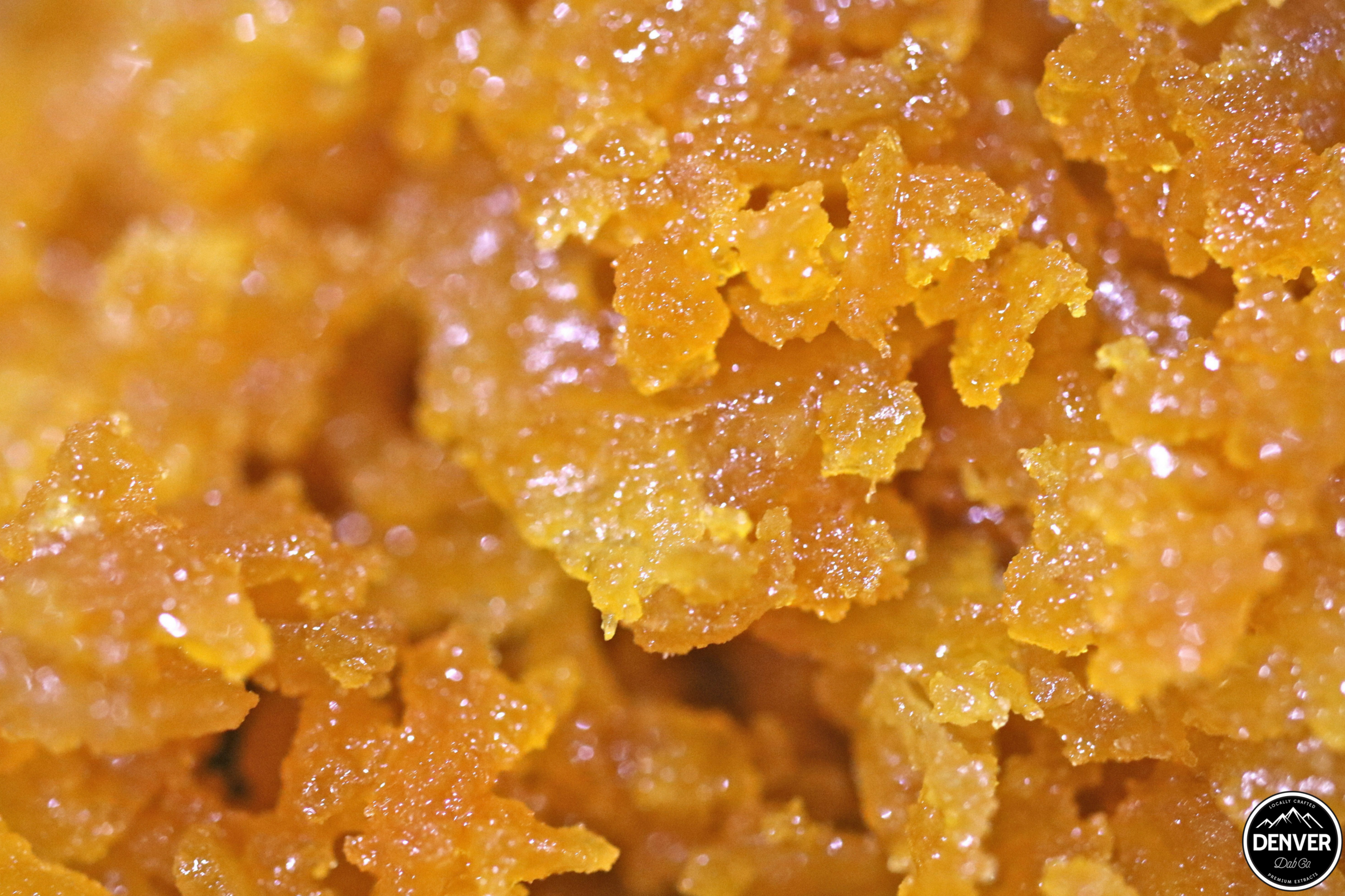 DDC - Social Media (1).png