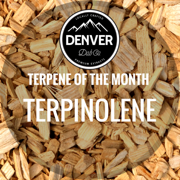 TERPENE OF THE MONTH.png