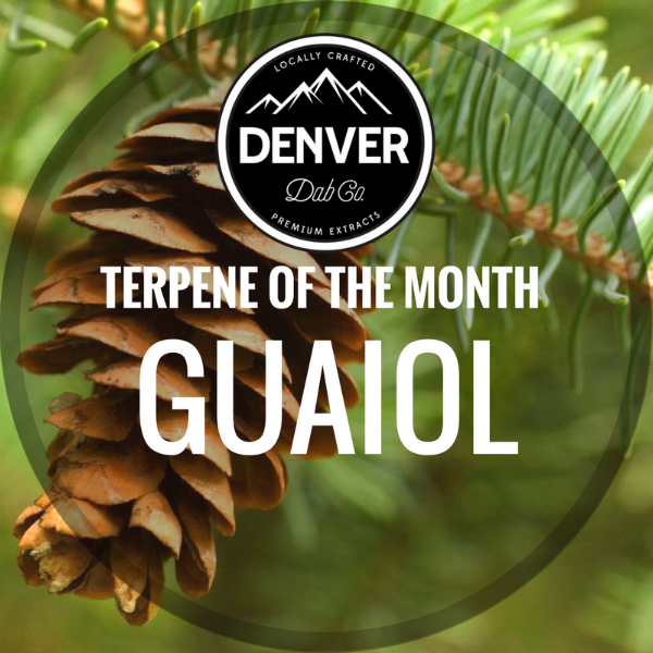 TERPENE OF THE MONTH.png