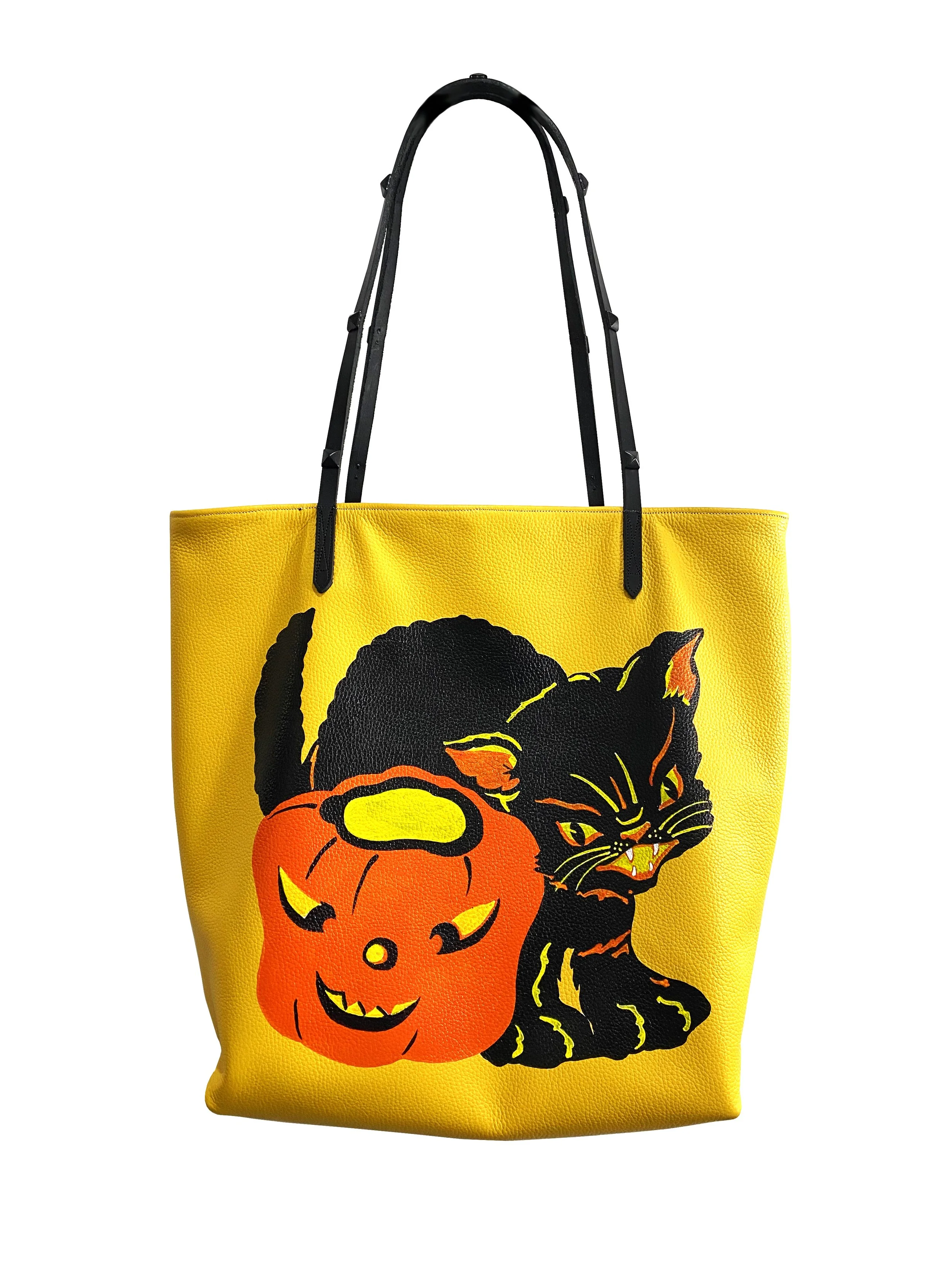 CatWithPumpkinBag.jpeg