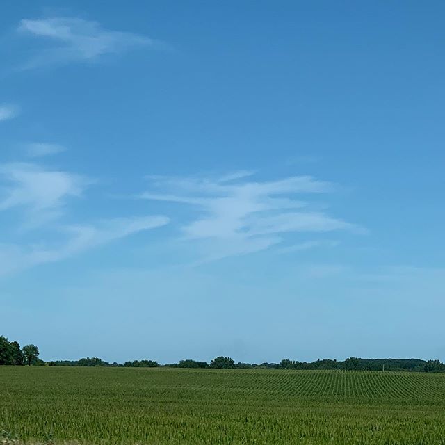 Heading back home to my own Mama... #illinois #nofilter #cornfieldsforever #midwest