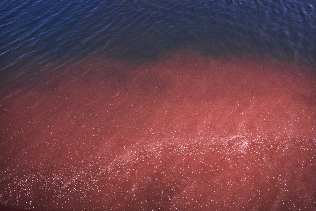© Eivind H Natvig