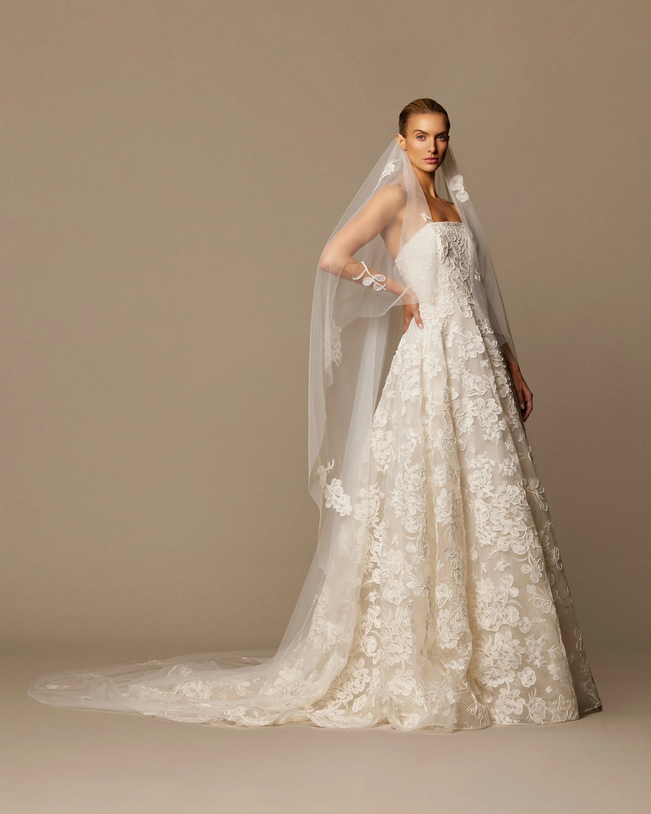 Naeem Khan Maguax Wedding Dress and Veil