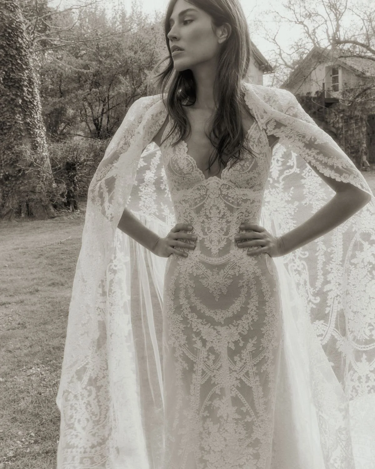 Dana Harel Nomi