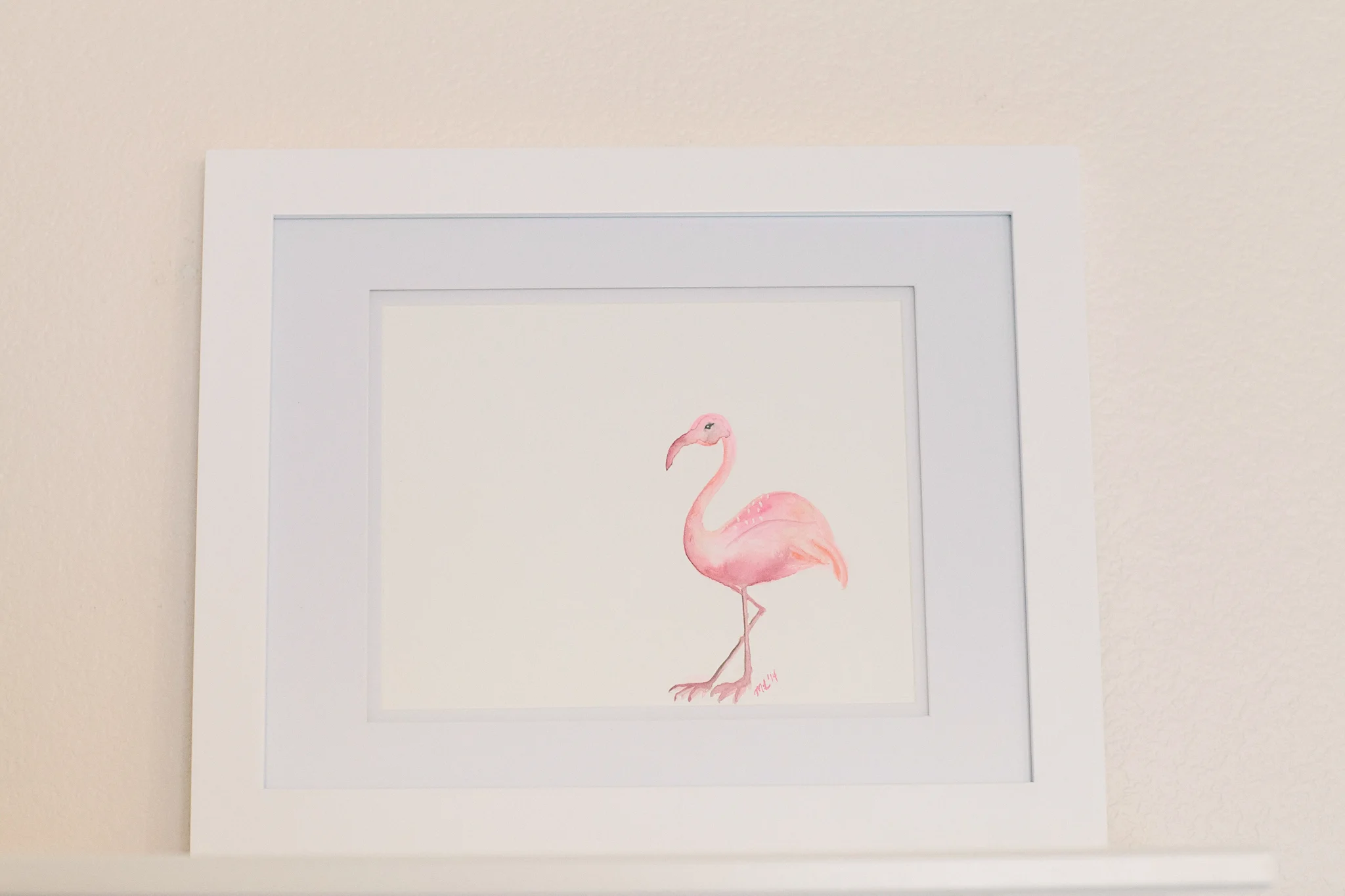 flamingo1.jpg