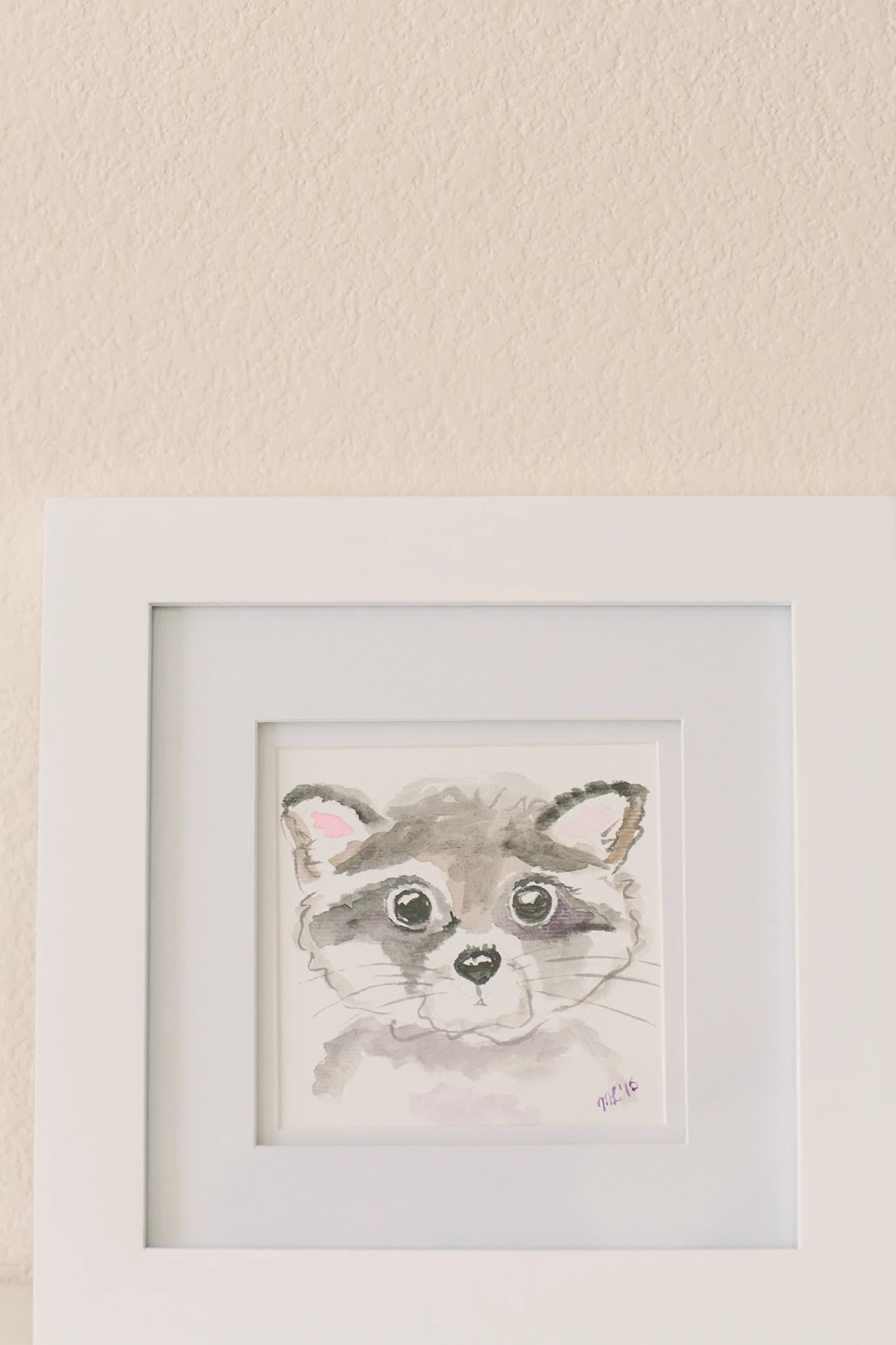 racoon.jpg