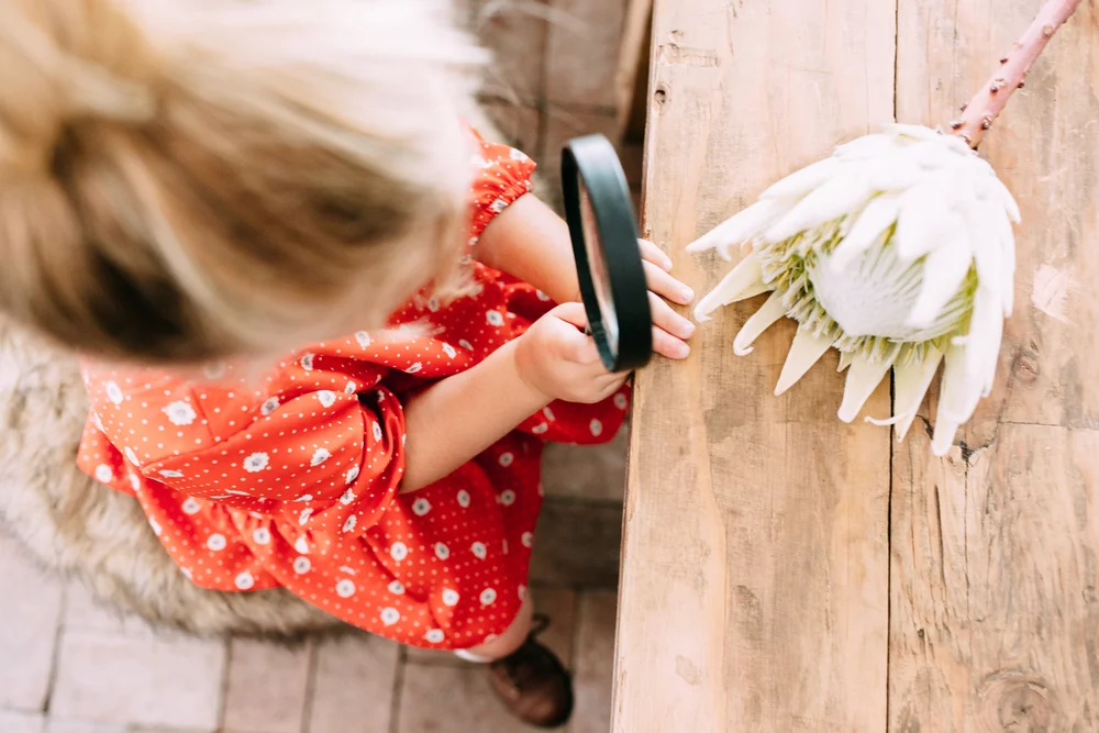 CREW & LU PHOTO SHOOT | rollover doughnuts | PHX