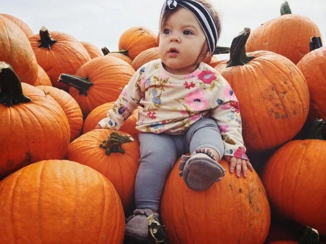 PUMPKIN PICKIN