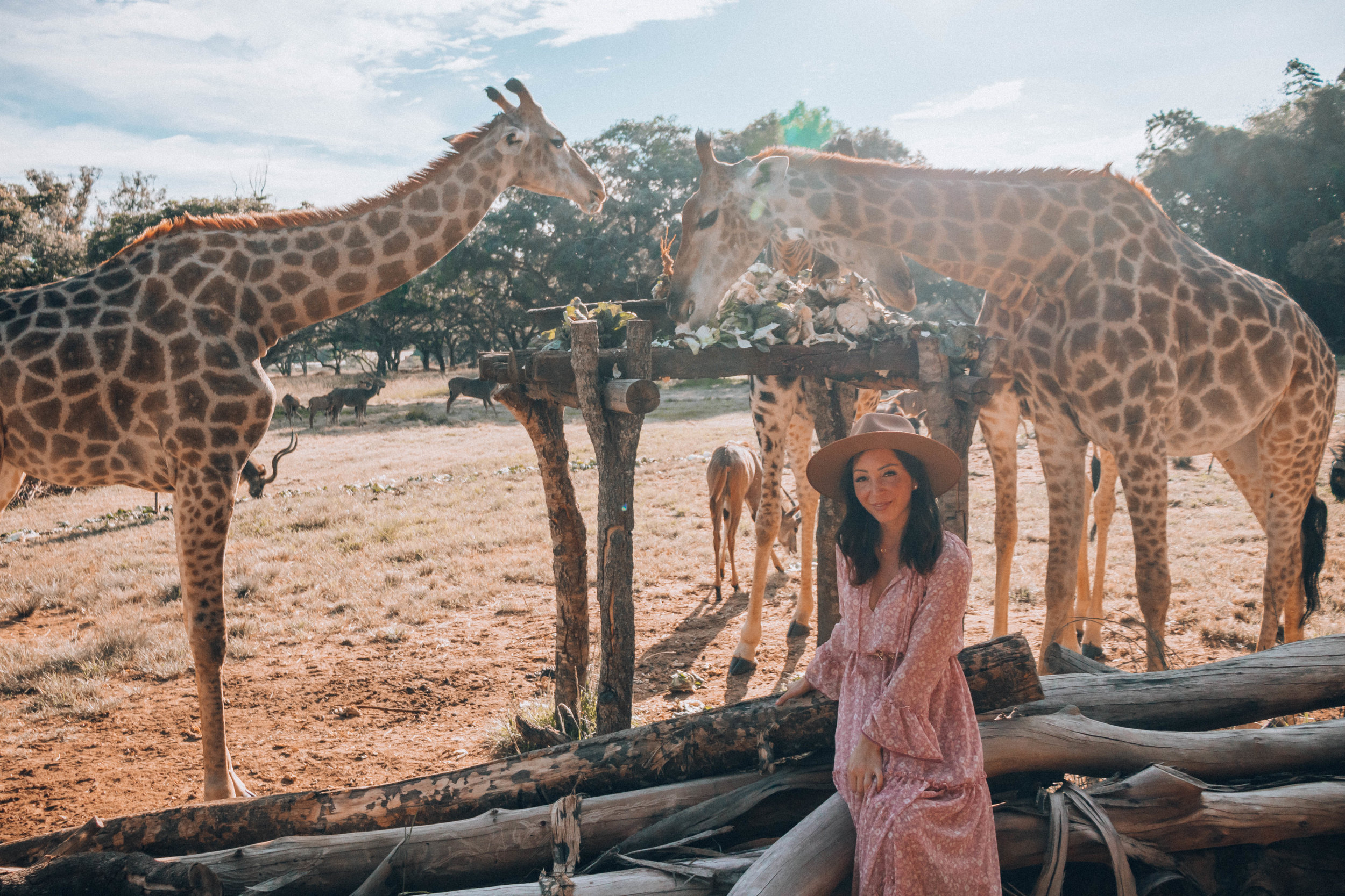 Wild is Life, Animal Sanctuary