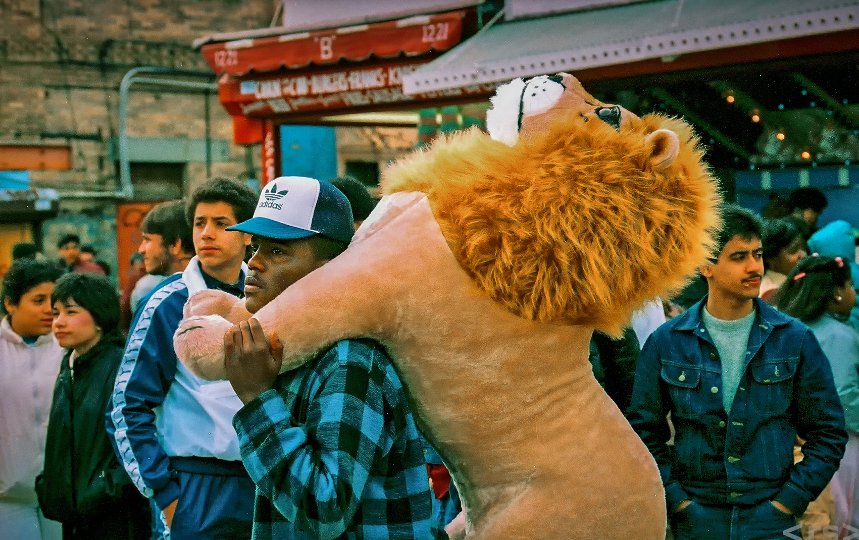 LionsBurden