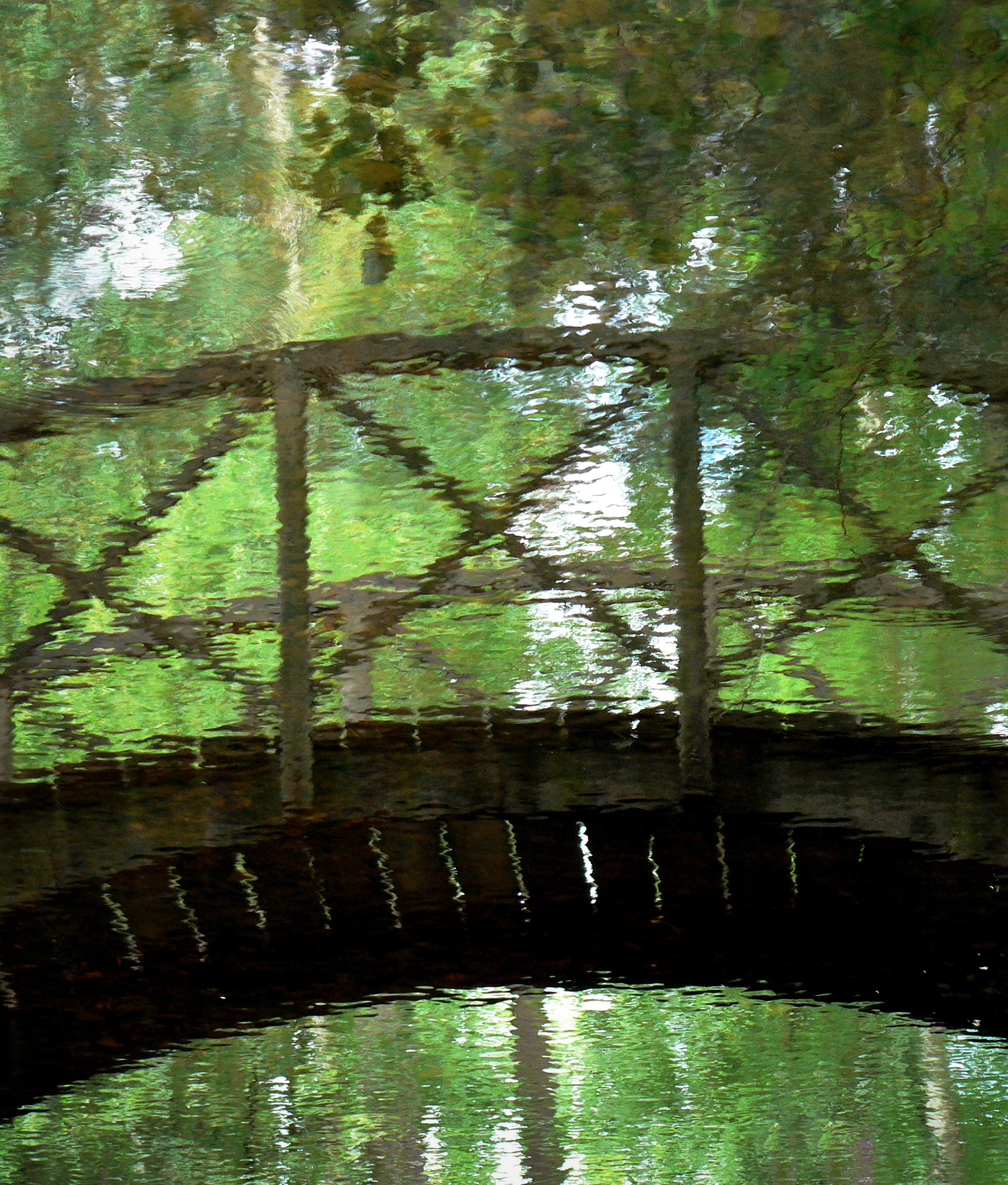 PasD'Avignon