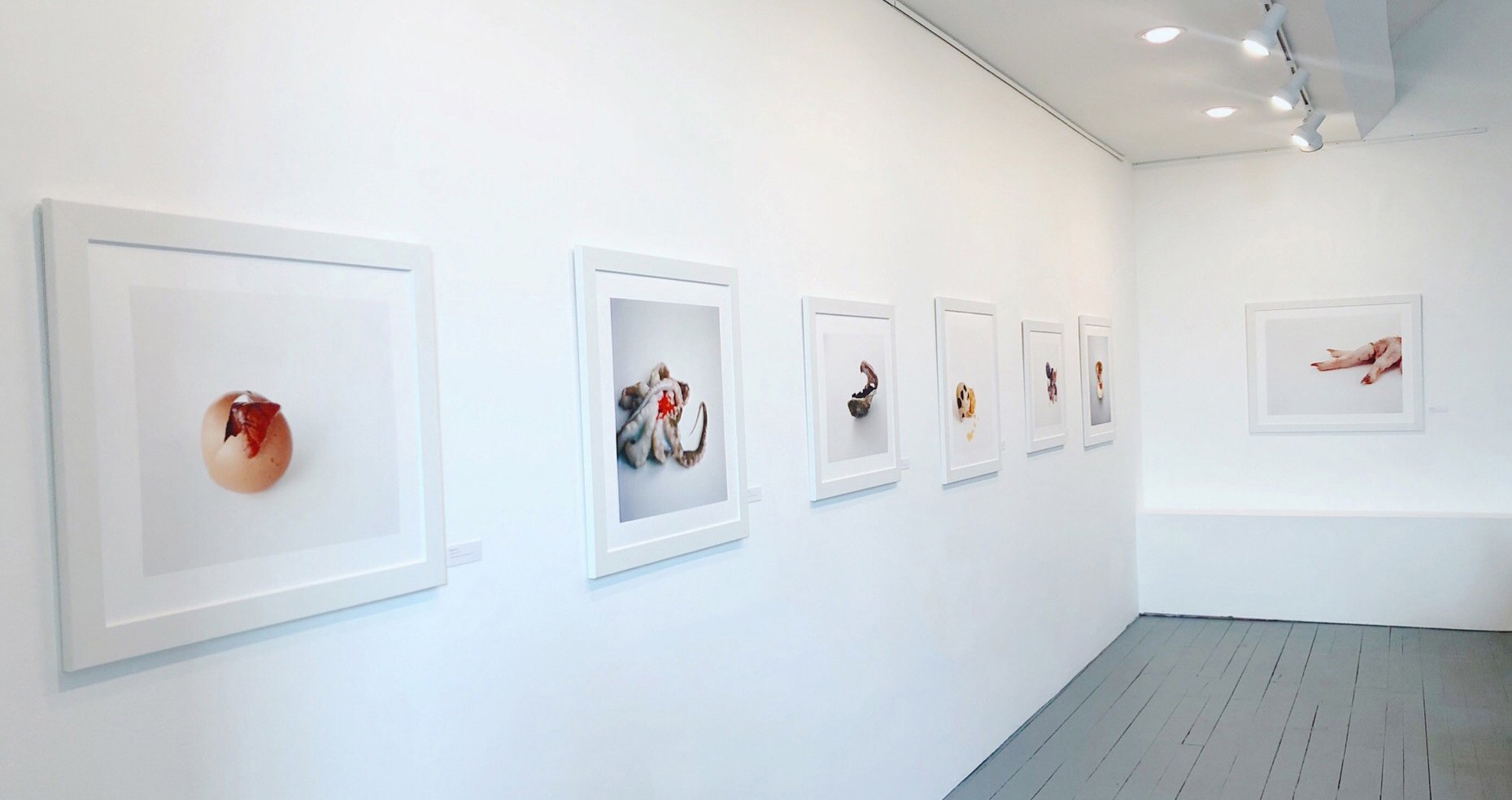 GallerySpace1.jpg