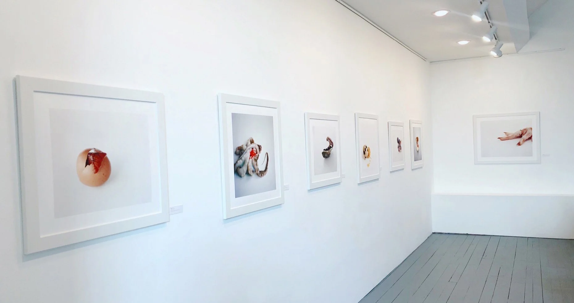 GallerySpace1.jpg