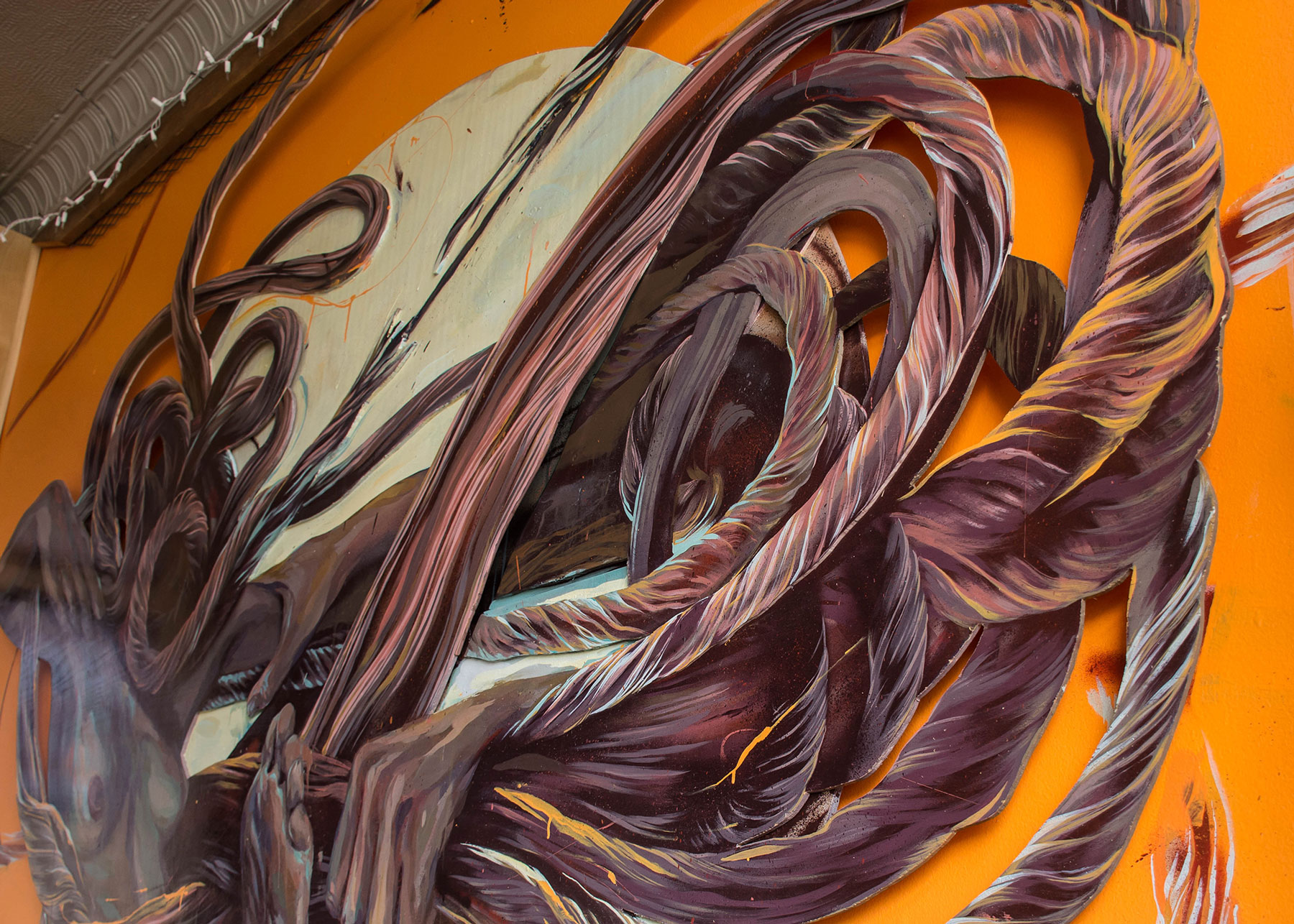 Figure 8 detail. 