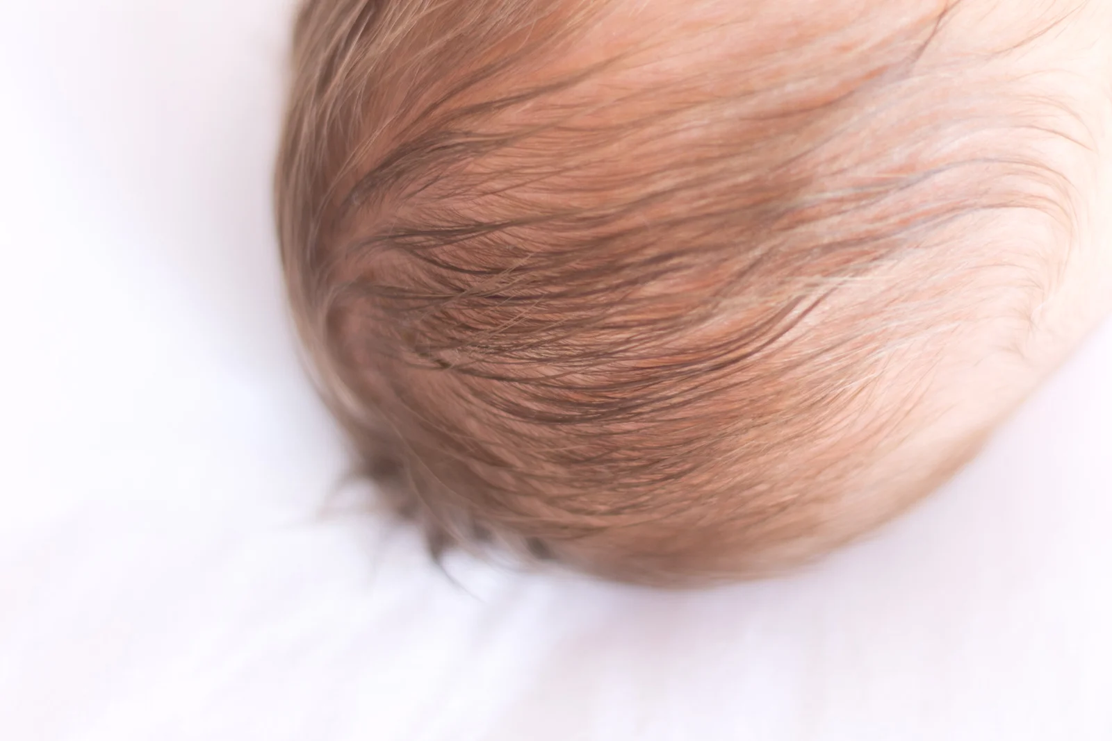ella_newborn-121.jpg