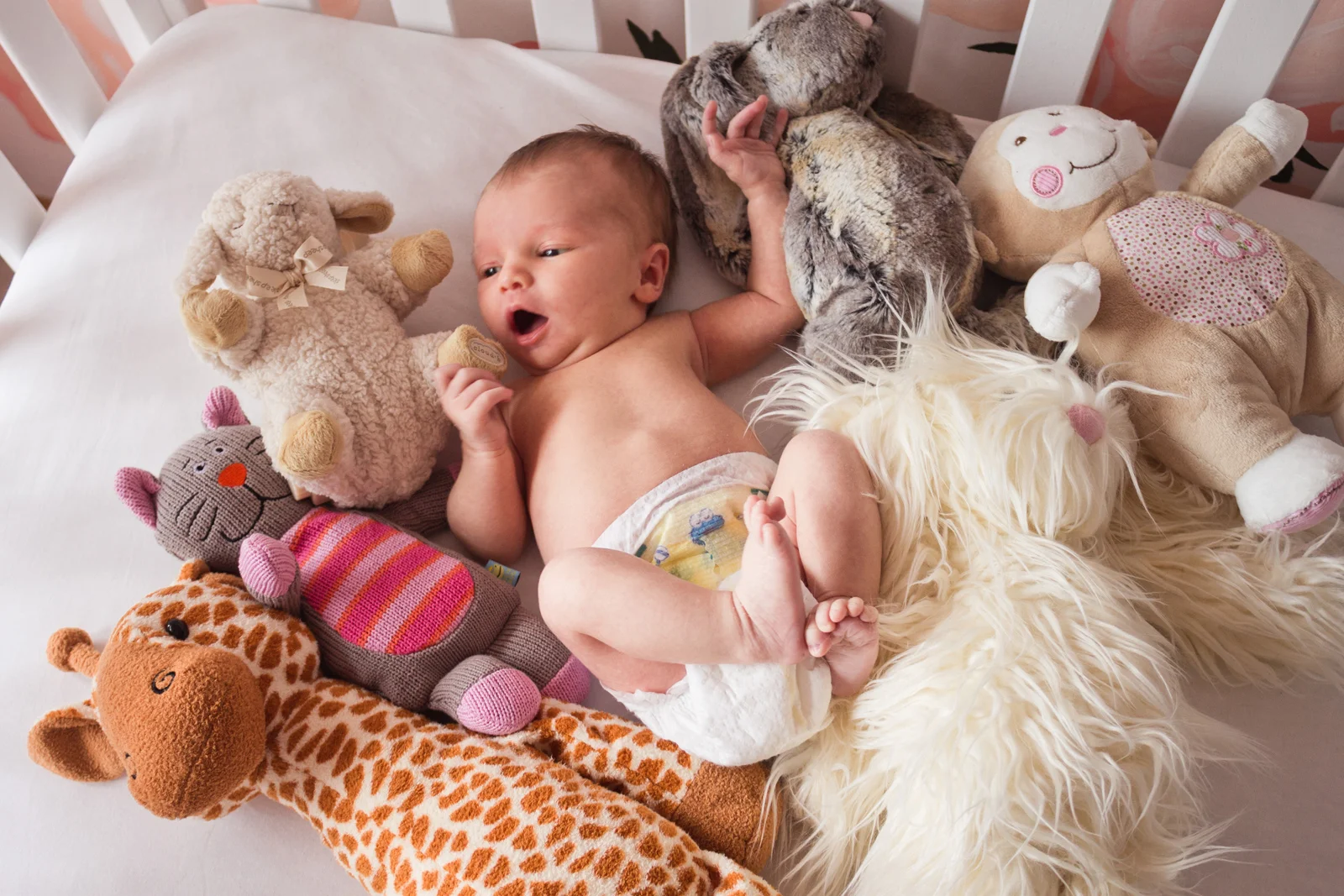 ella_newborn-151.jpg