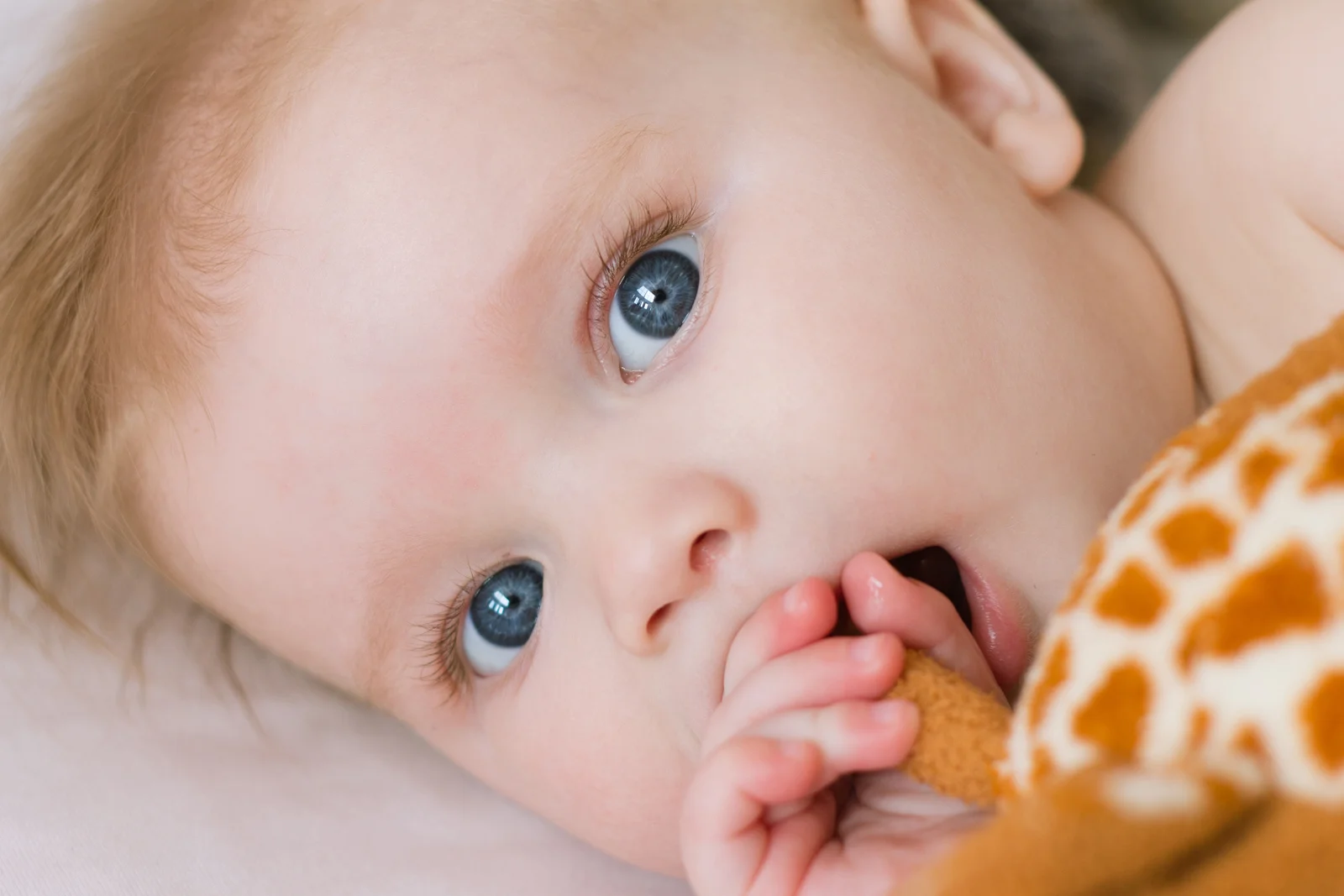ella-6mo-27.jpg