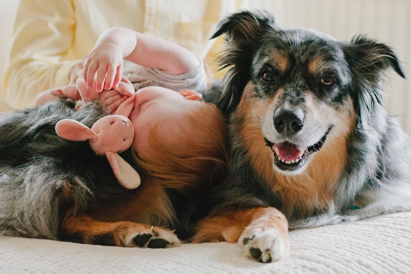 ThoeleFamily-82.jpg