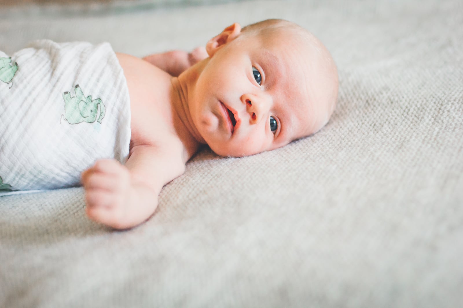 19max-newborn-44.jpg