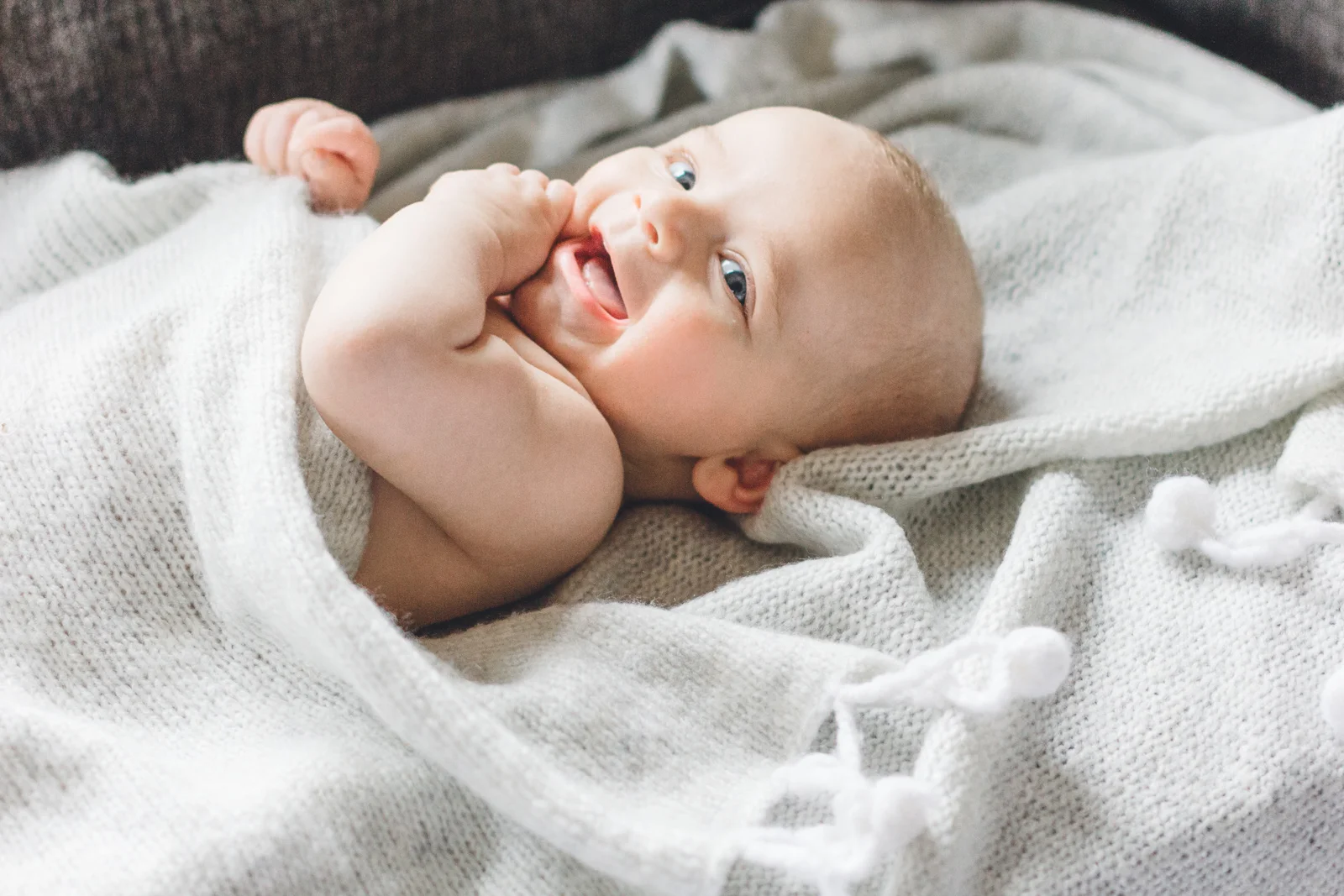 Brennan // 3 months