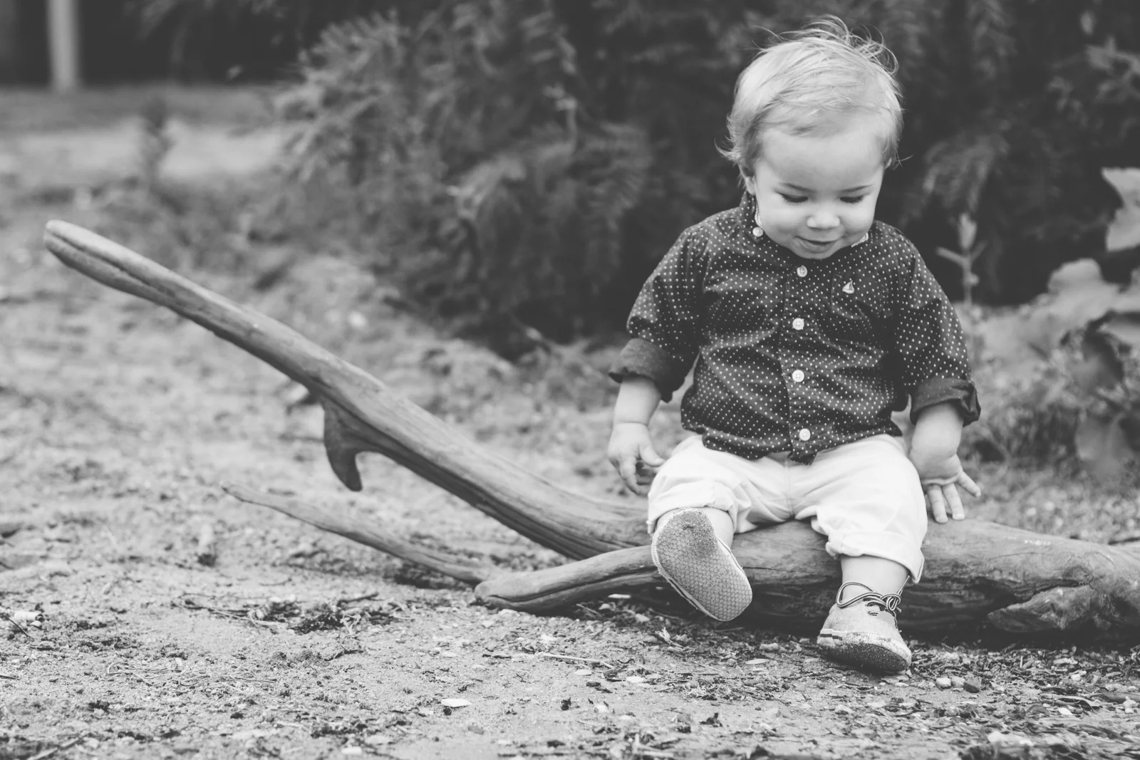 Bode-1year-34.jpg