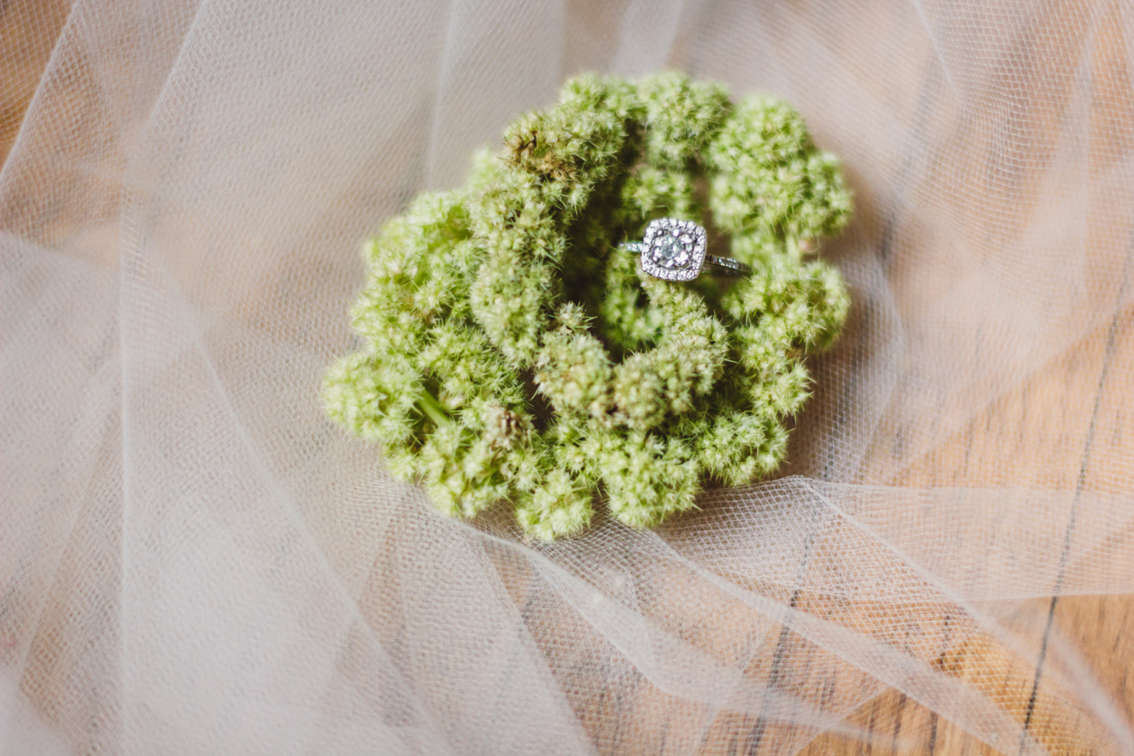 Amanda&Nick-wed-6.jpg